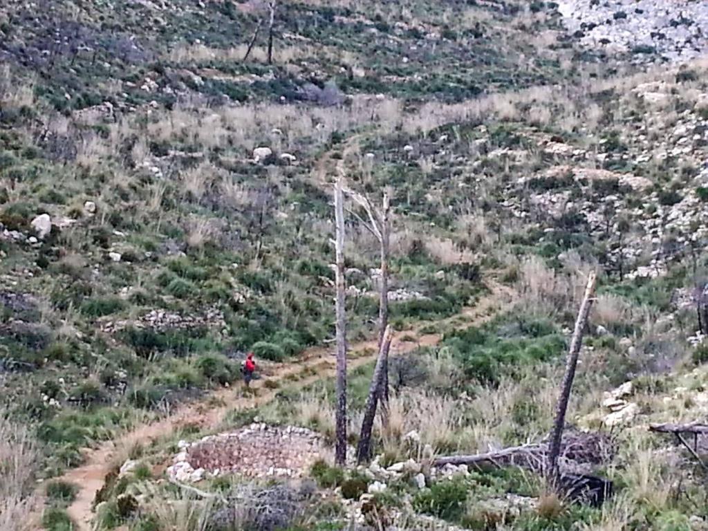 Sendero en un paisaje montañoso con vegetación densa, donde se encuentra un caminante con chaqueta roja, rodeado de rocas y arbustos.