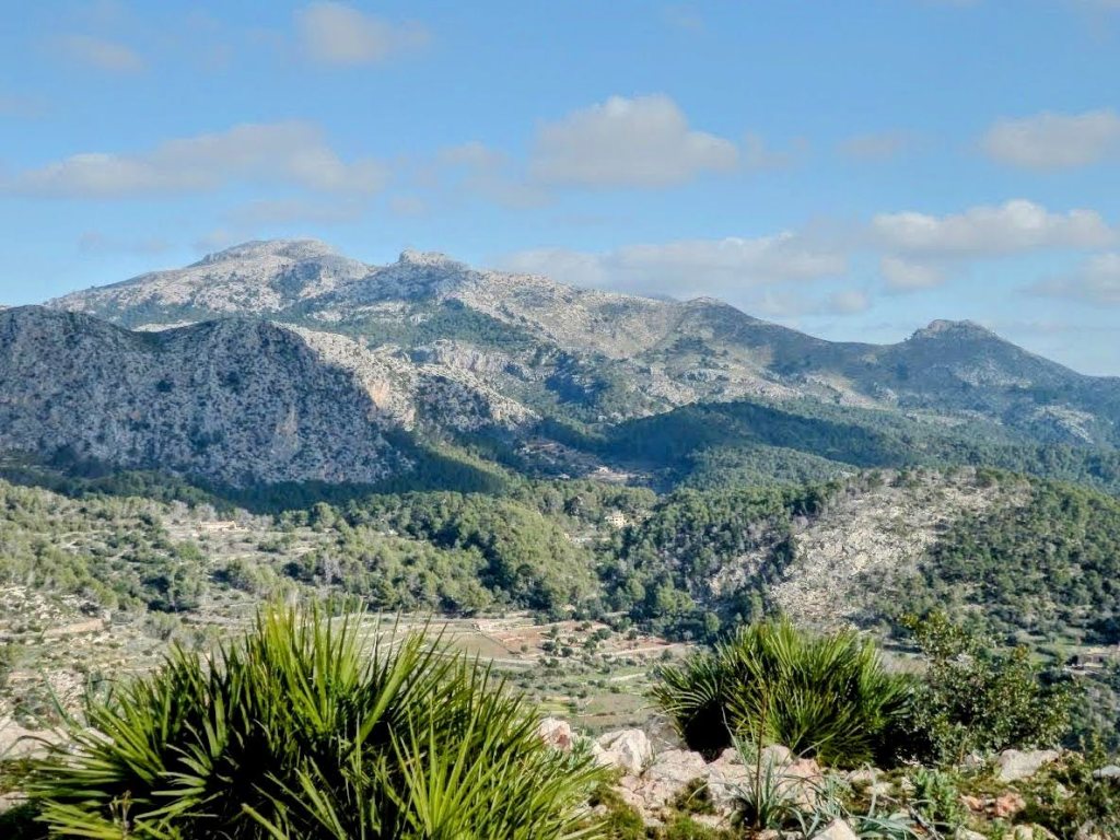 Vista panorámica del Puig de So Na Vidala y sus alrededores, con montañas y vegetación exuberante al frente.
