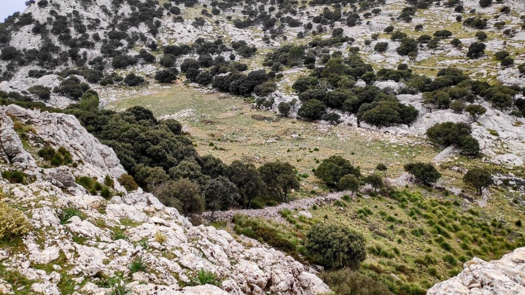 Vista panorámica del Coll des Jou con rocas expuestas y vegetación, mostrando un terreno irregular en la ruta Puig des Coll des Jou.