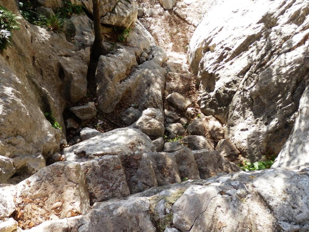 Escalones de piedra en  El Pas de s’Escaleta rodeado de rocas y vegetación, que lleva al Pas de s'Escaleta en la Ruta Vuelta a la Talaia de Cals Reis.