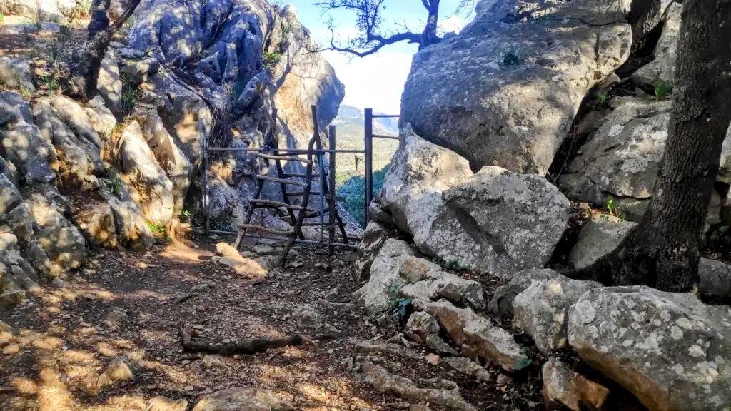 VUELTA A LA TALAIA DE CALS&nbsp;REIS