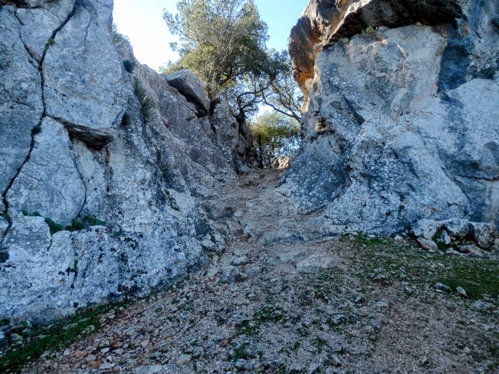 Sendero rocoso que se adentra en el Pas de s' Estaló entre paredes de piedra, con vegetación en los lados, representando una ruta de montaña.