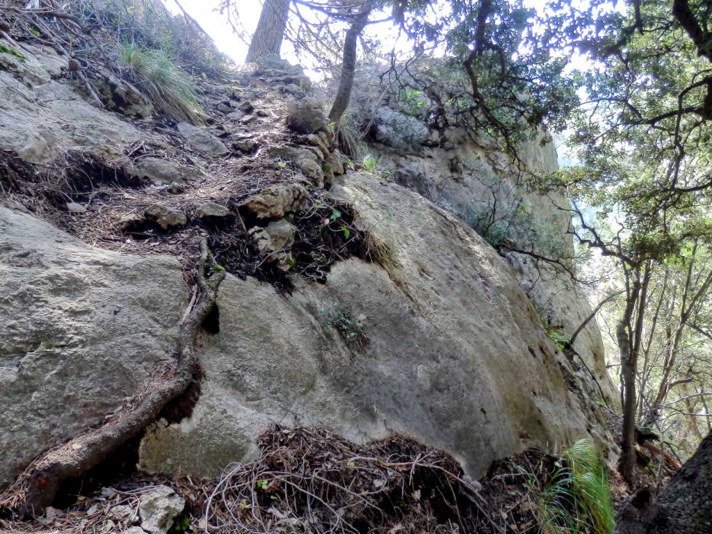 Sendero rocoso y empinado en el Pas de s' Estaca, rodeado de vegetación y árboles.