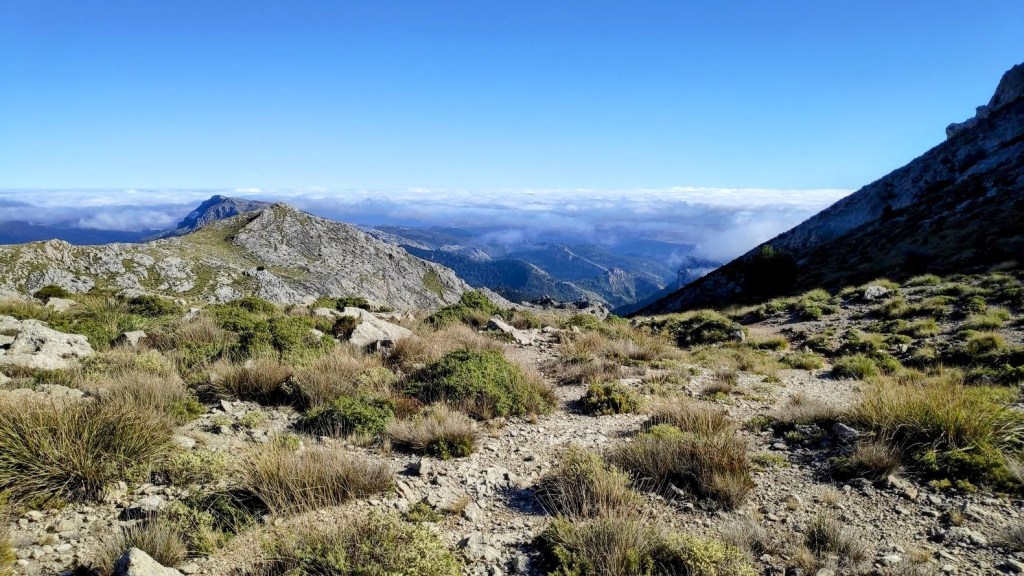Vista panorámica desde el Coll des Prat, mostrando montañas y nubes en el horizonte, con vegetación en primer plano.