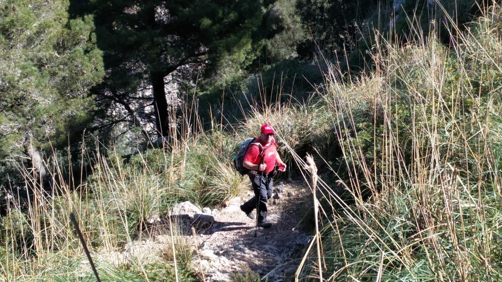 Persona caminando por un sendero montañoso, rodeado de vegetación y árboles en el área de la ruta Puig de Galatzó.