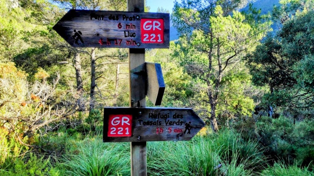 Señales de dirección en un sendero forestal, indicando el camino hacia la Font des Prat y el refugio de Tossals Verds, en el contexto de la ruta Puig d'en Galileu desde Cúber.