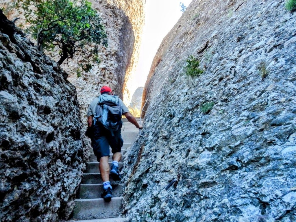 Una persona subiendo por una serie de escalones en un estrecho Pas dels Francesos entre formaciones rocosas, rodeada de vegetación.