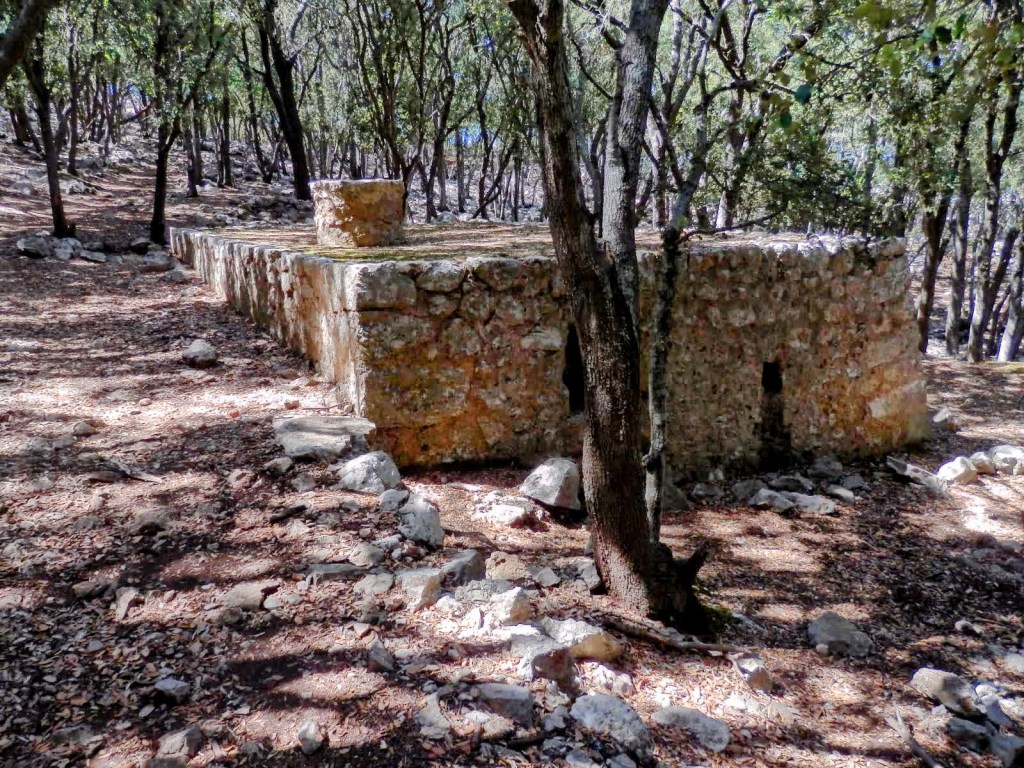 Vista del Aljibe de Son Vic o de Na boscana, una construcción de piedra parcialmente cubierta de vegetación en un bosque. La estructura parece ser un antiguo aljibe o refugio en un entorno natural.