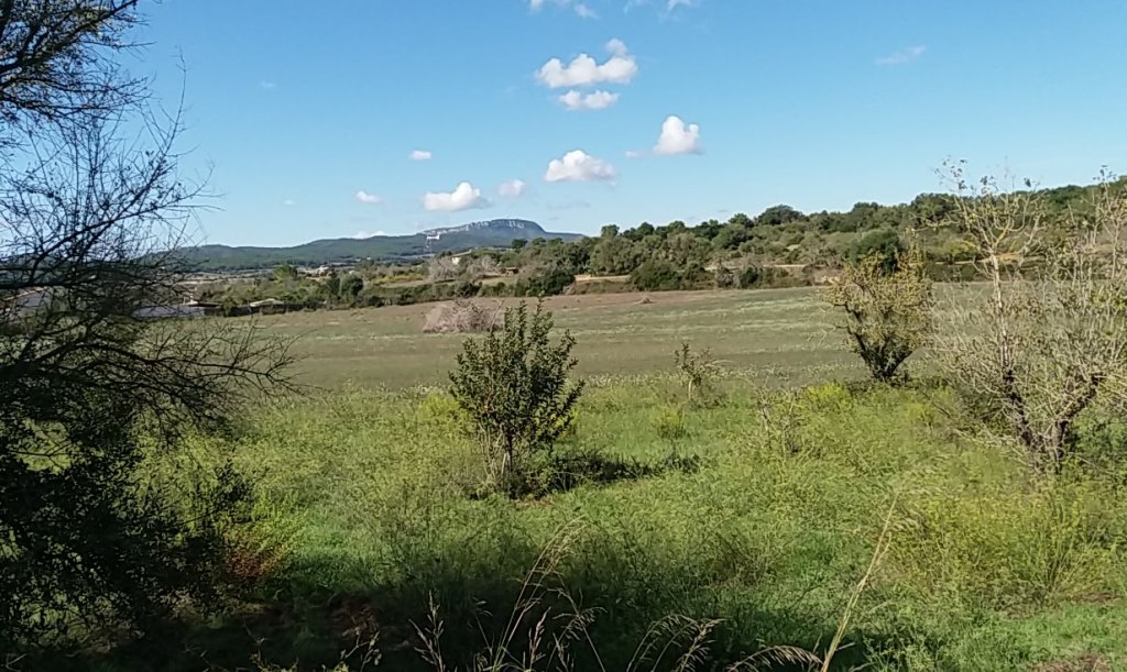 PORRERES, vuelta por los&nbsp;alrededores