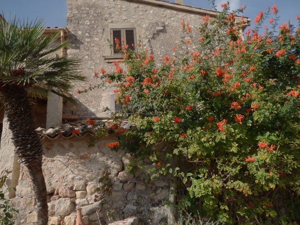 Una casa de piedra con ventanas de madera, rodeada de plantas tropicales y flores naranjas, en un paisaje rural.