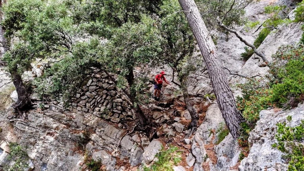 Senderista descendiendo por un camino rocoso rodeado de arbustos y árboles en un paisaje montañoso.
