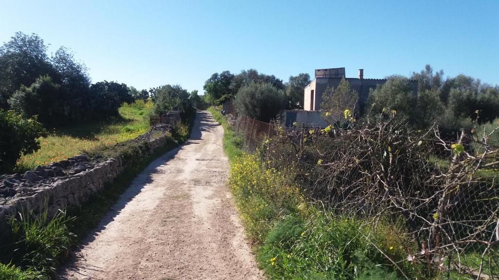 Camino rural rodeado de vegetación y cercas en el entorno de Vilafranca de Bonany, con una casa visible al fondo bajo un cielo despejado.