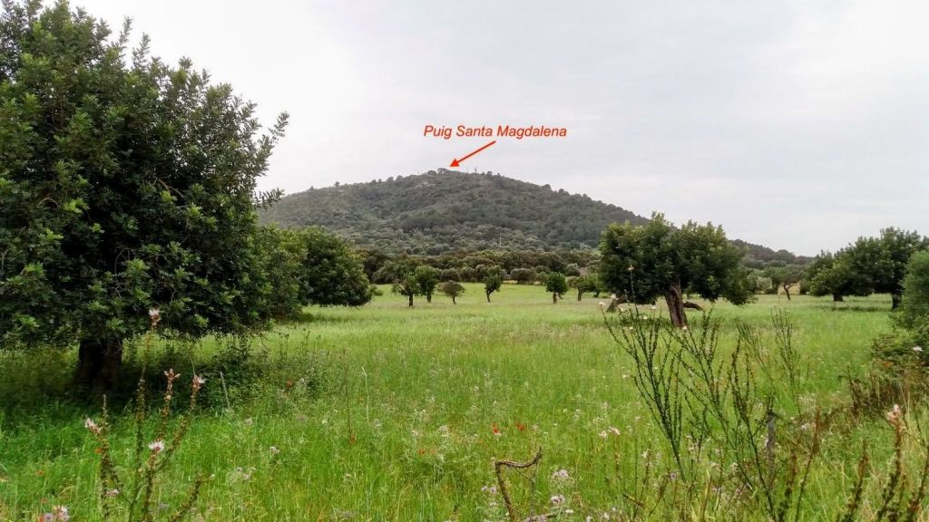 Vista de campos agrícolas con árboles y el Puig Santa Magdalena al fondo, marcado con una flecha.