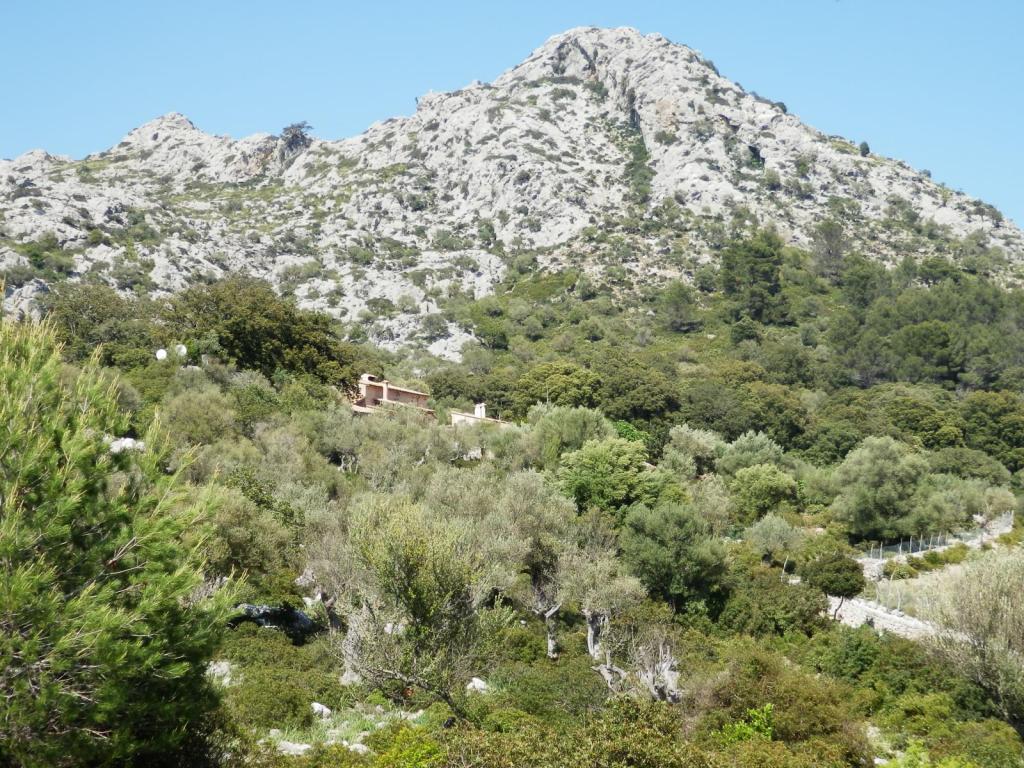Vista panorámica de un paisaje montañoso con vegetación densa en el valle de Alcanella, mostrando una casa entre los árboles y un fondo rocoso.