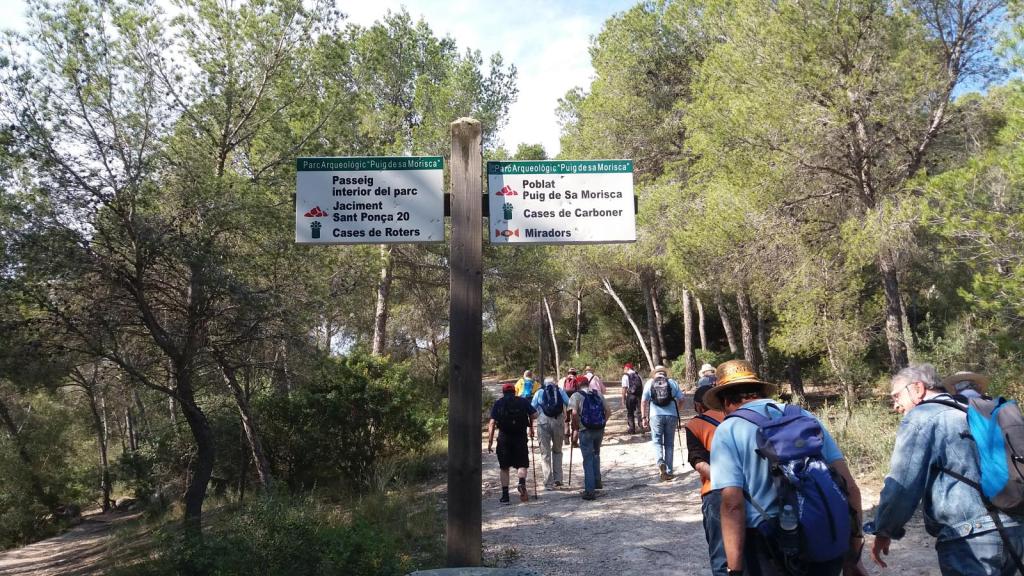 Grupo de personas caminando por un sendero forestal en el Parque Arqueológico Puig de sa Morisca, con un panel informativo que señala diferentes destinos de la ruta.