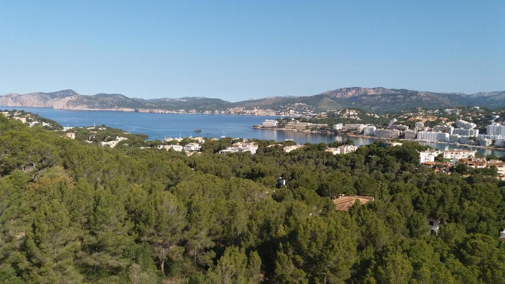 Vista panorámica del paisaje costero de Santa Ponça, con árboles verdes en primer plano, y vistas de las montañas y edificaciones a lo lejos bajo un cielo despejado.