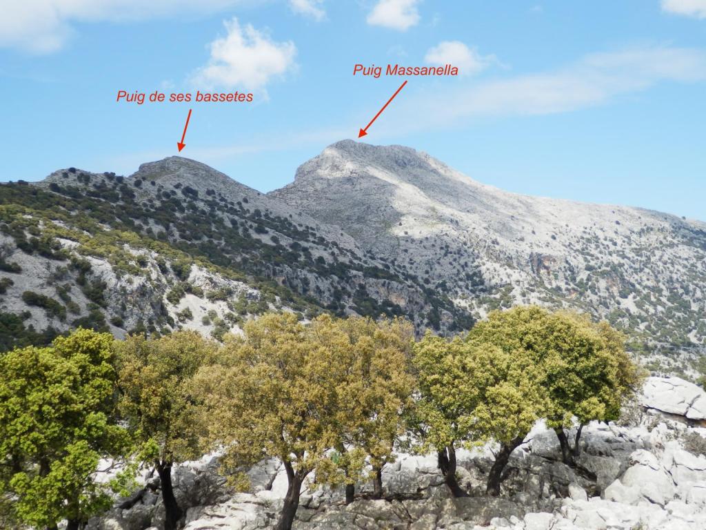 Vista panorámica desde el Puig des Castellot des Rafal, destacando el Puig de ses bassetes y el Puig Massanella, rodeados de árboles y rocas.