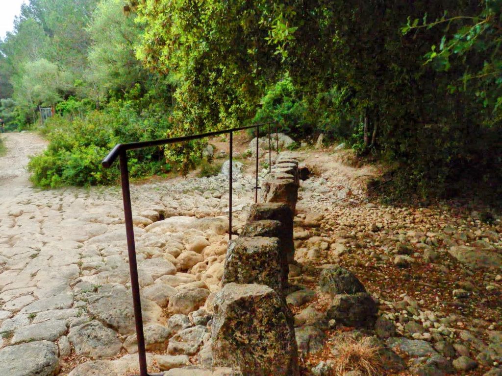 Sendero de piedras con barandilla en el camino hacia la Canaleta de Solleric, rodeado de vegetación.
