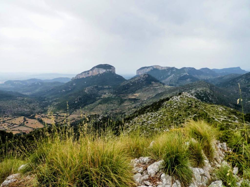 Vista panorámica del Puig de Alcadena y Puig de Alaró, con vegetación en primer plano y un cielo nublado.