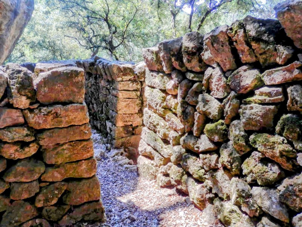 Vista del Corral de ses Cabres en un entorno natural, con luz filtrándose entre los árboles.