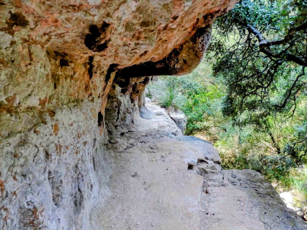 Sendero estrecho en una cornisa rocoso rodeado de vegetación en la ruta Fesa de Na Costitxa.