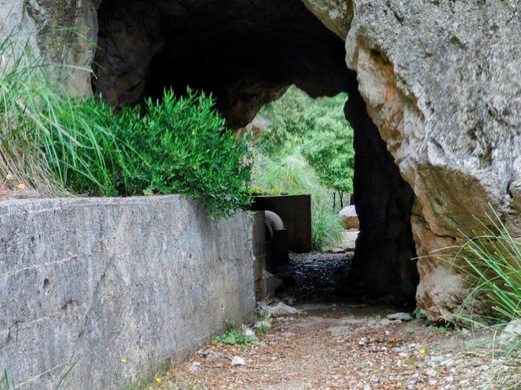 Vista del túnel en la canaleta de Solleric, con paredes de roca y vegetación a los lados.