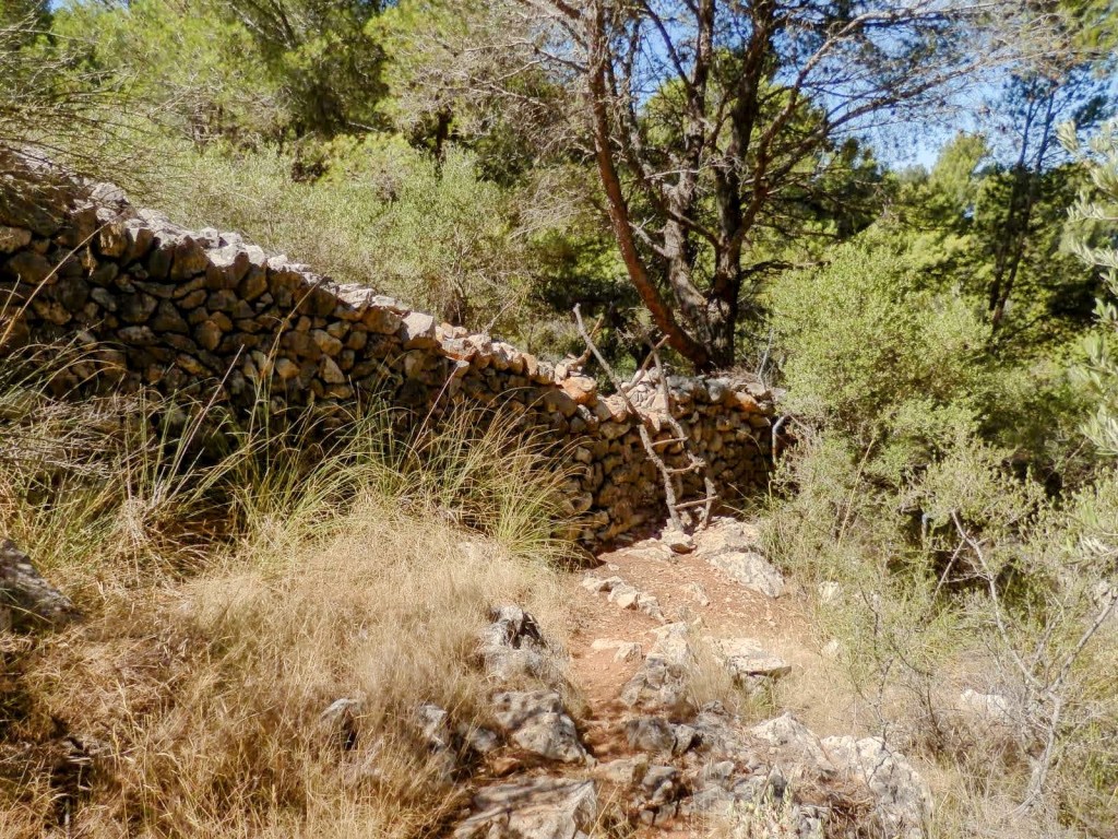 Sendero rodeado de vegetación y un muro de piedra con un botador rudimentario, en un entorno natural de Mallorca.