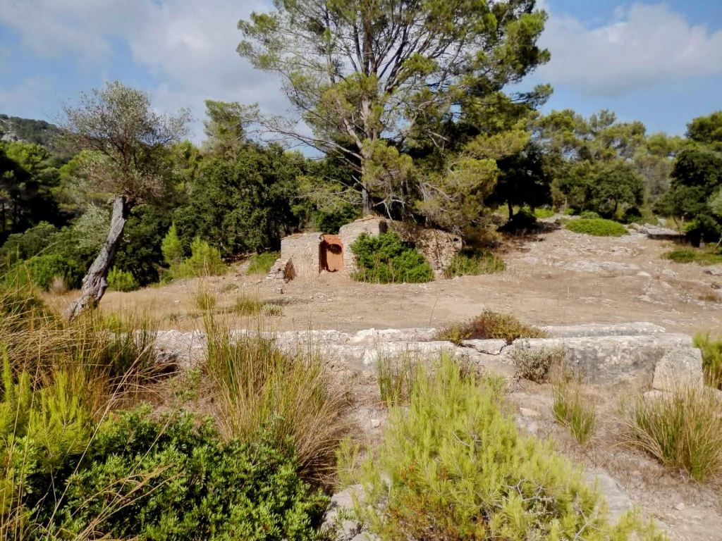 Vista de  Sa Teulera Vella en ruinas rodeada de vegetación en la ruta Coll de Estellencs-Fesa de la Costitxa.
