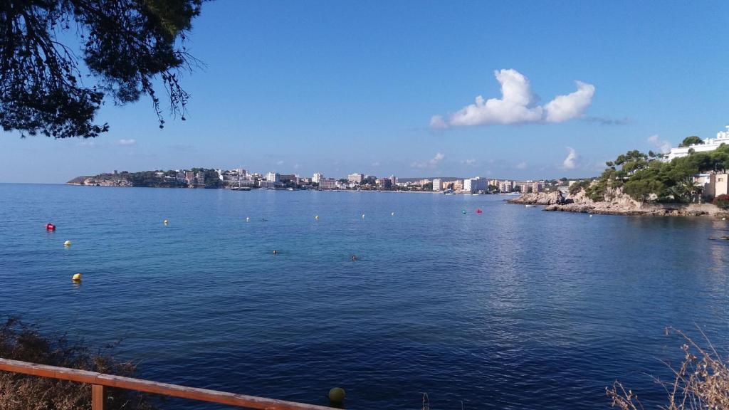 Vista panorámica de la costa de Calviá, con agua tranquila y edificios residenciales al fondo bajo un cielo azul despejado.