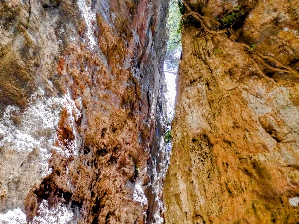 COLL DE ESTELLENCS-FESA DE LA COSTITXA desde&nbsp;PUIGPUNYENT