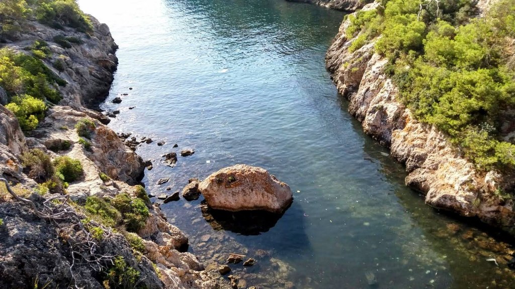 Vista desde un acantilado que muestra Cala Figuera, rodeada de rocas y vegetación en la costa de Calviá, Mallorca.