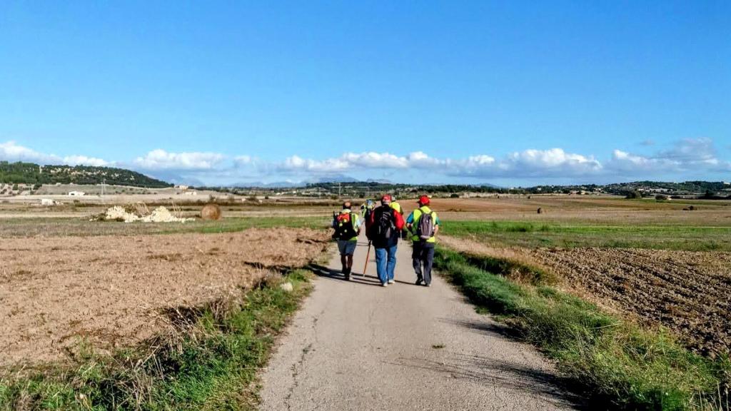 MARIA DE LA SALUT y alrededores&nbsp;1