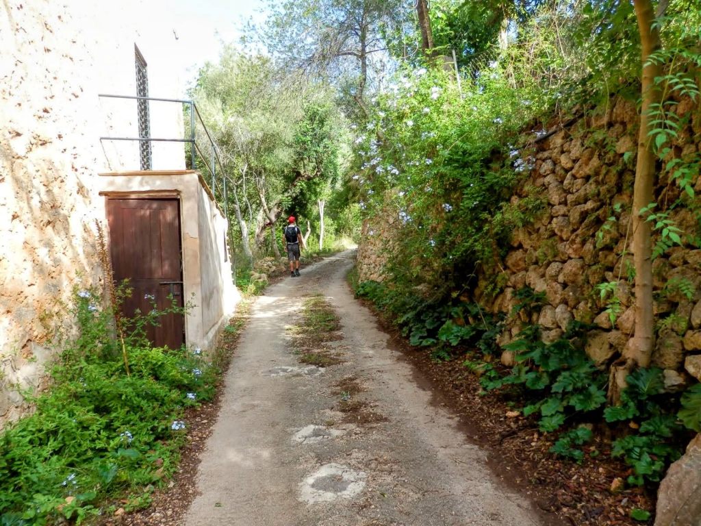 Un sendero estrecho y rural flanqueado por muros de piedra y vegetación, con una persona caminando hacia adelante.