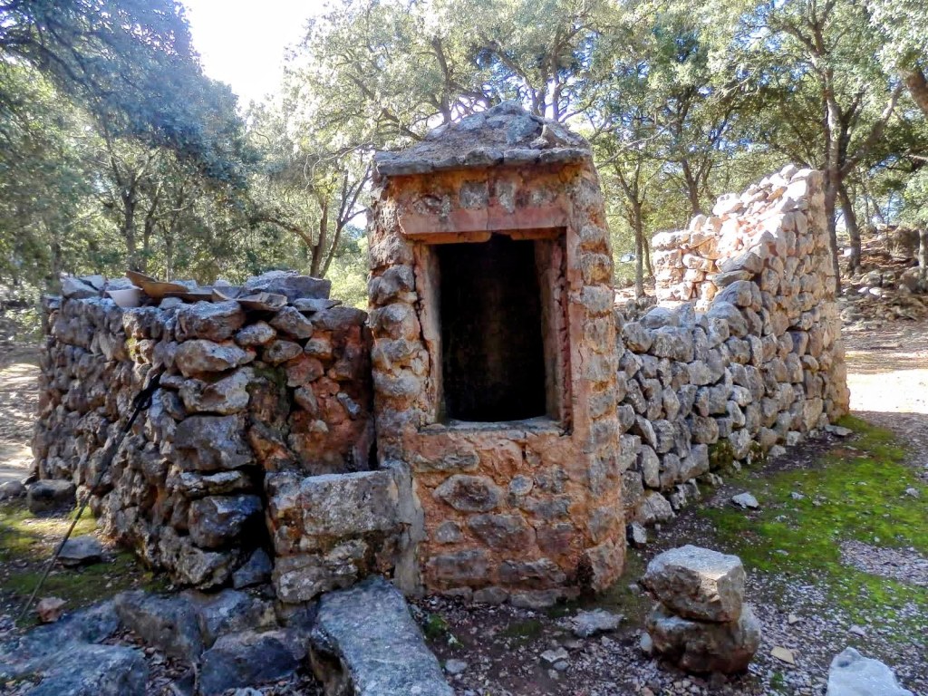Cisterna en el Pla d'en Marc en un entorno forestal, rodeada de árboles y vegetación.
