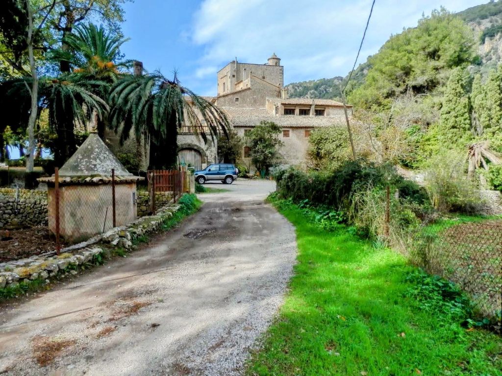 Vista de un camino de tierra rodeado de vegetación y las casas del Predio de Sa Coma en el fondo y palmeras a la izquierda.