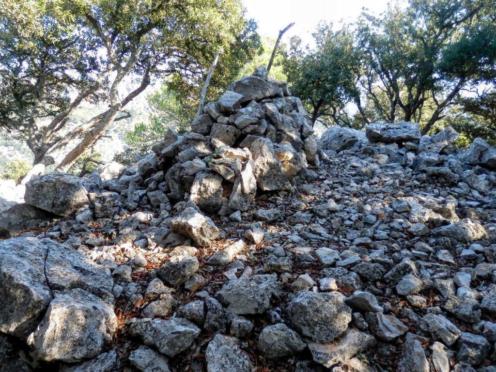 Pila de rocas en la cima de la Moleta de Pastoritx, con árboles alrededor y luz filtrándose entre las hojas.