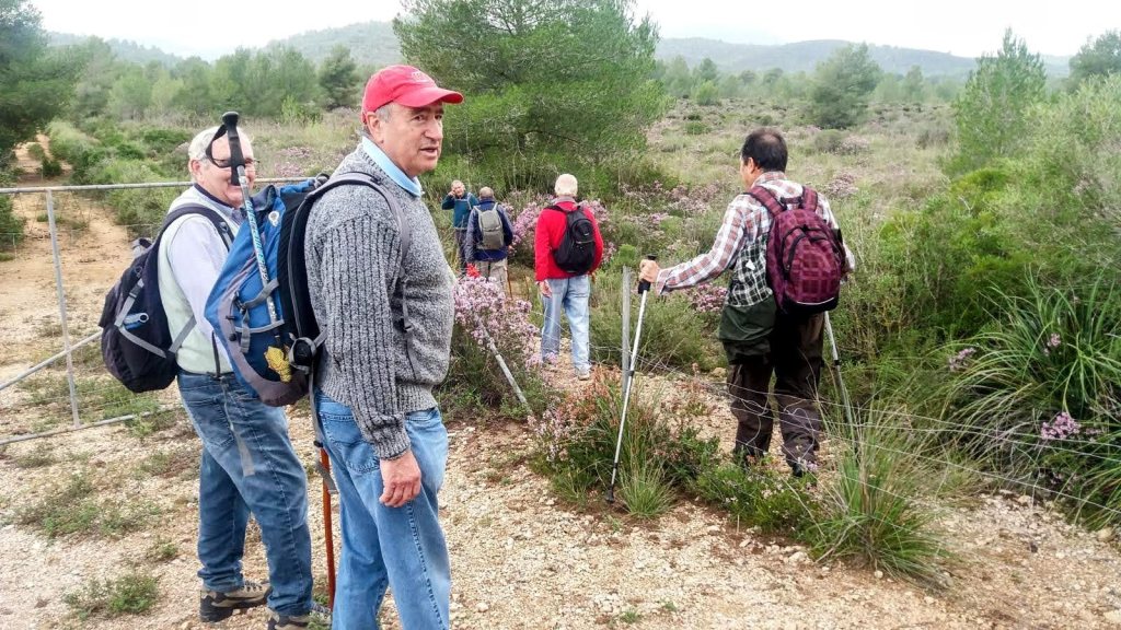 Grupo de excursionistas en un sendero del campo, con árboles y vegetación de fondo.