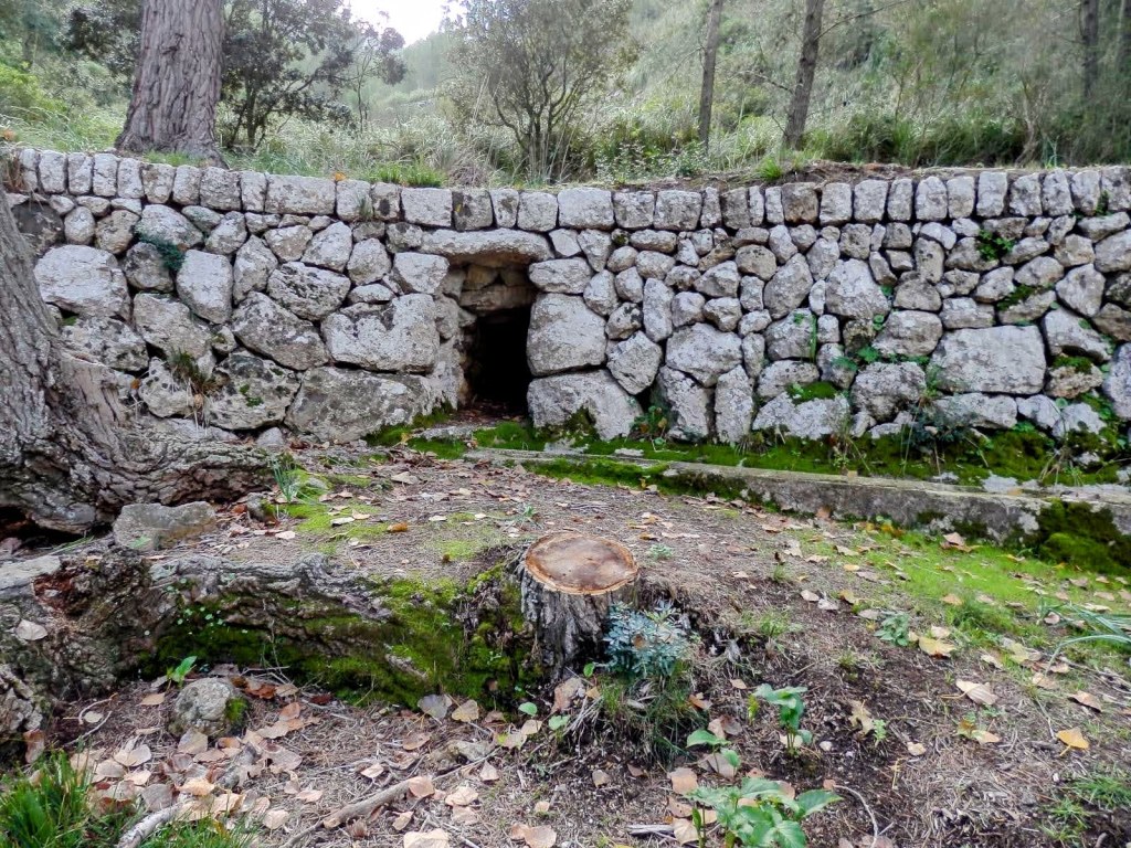 Sa Font dels Obis, un sistema hidráulico de origen islámico, con una estructura de piedras que canaliza aguas subterráneas, en un entorno natural rodeado de árboles.