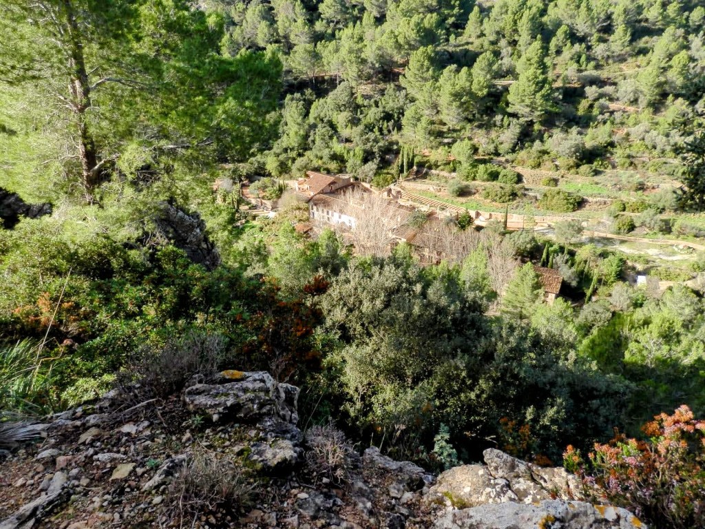 Vista aérea de casas de Es Ratxo rodeadas de vegetación en la finca pública de Galatzó, Mallorca, con colinas boscosas en el fondo.
