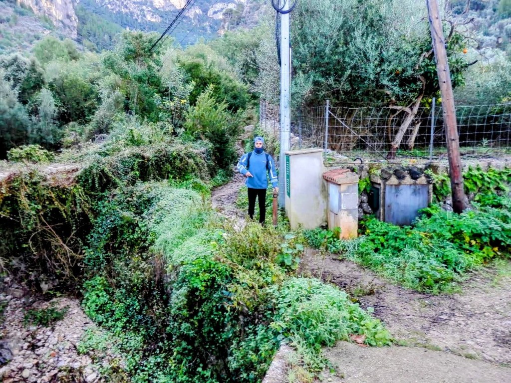 Un excursionista de pie junto a un sendero rodeado de vegetación en la ruta Sierra de Alfàbia, con montañas al fondo.