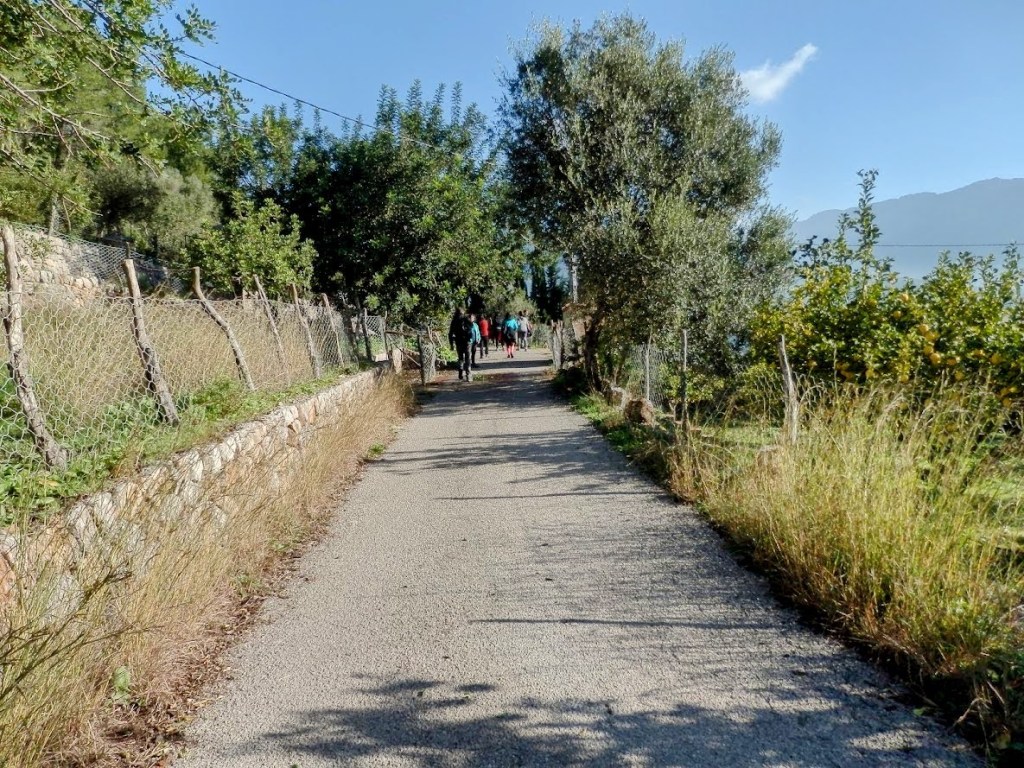 Camino de Son Sales rodeado de vegetación y olivares, con un grupo de personas caminando en dirección al horizonte.