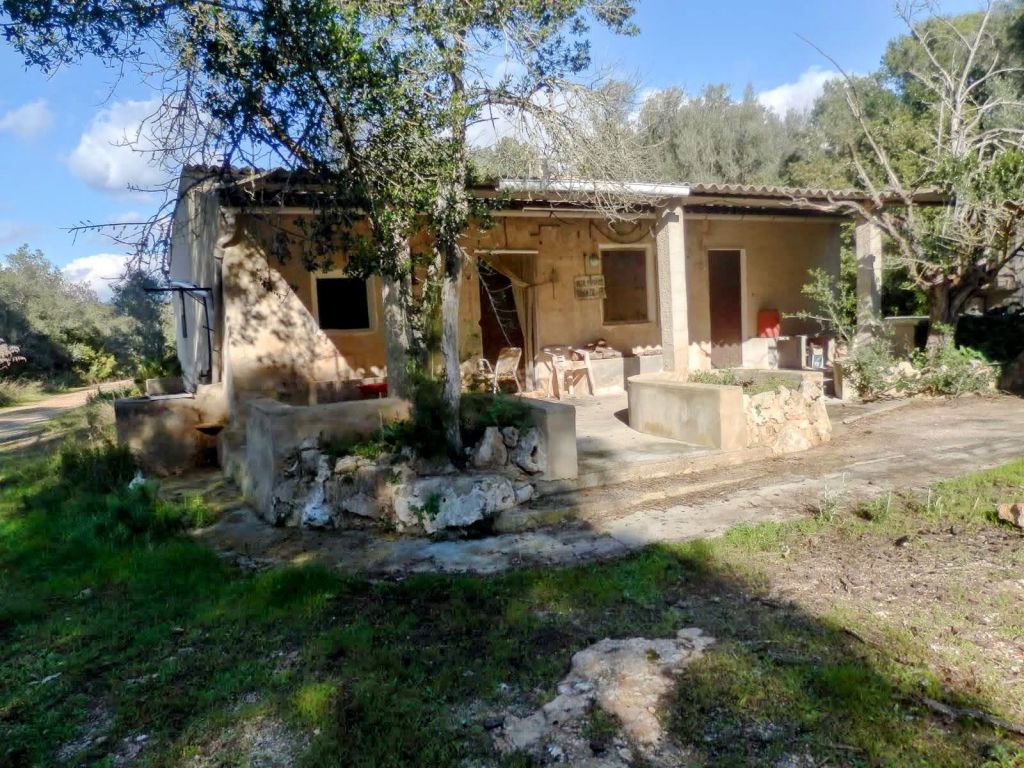 Vista de la Caseta del Garriguer en medio de la naturaleza, con un porche y rodeada de vegetación.