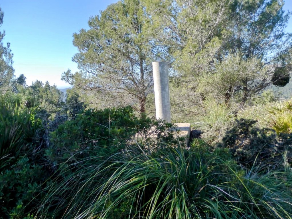 PUIG DE SA GRUA desde Es&nbsp;Capdellá