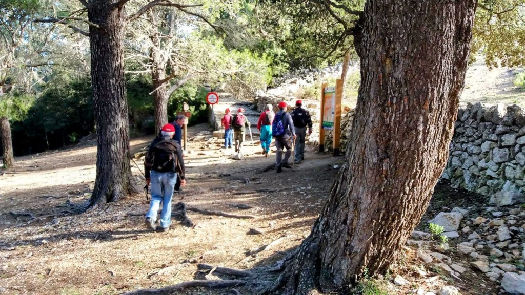 Grupo de senderistas caminando por elPla des Pouet en un bosque, con árboles grandes a los lados y señales de senderismo visibles.
