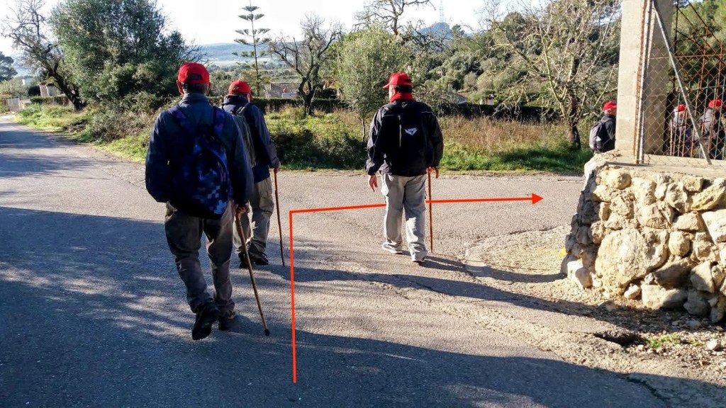 Grupo de senderistas caminando por un camino rural, con árboles a los lados y un sendero que se bifurca a la derecha.