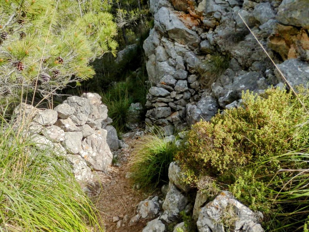 Sendero estrecho rodeado de vegetación densa y rocas, que muestra un camino entre muros de piedra y arbustos en un entorno natural.