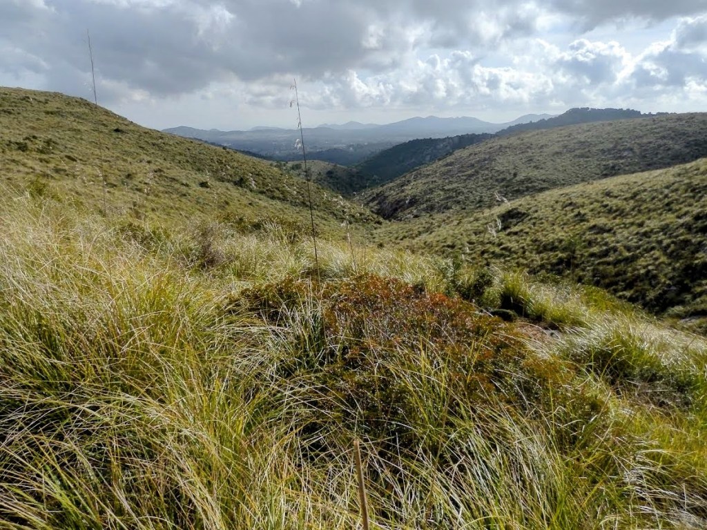 Vista panorámica de paisajes montañosos y valles con vegetación exuberante, cerca de la ruta Ermita de Betlem desde Artá en Mallorca.