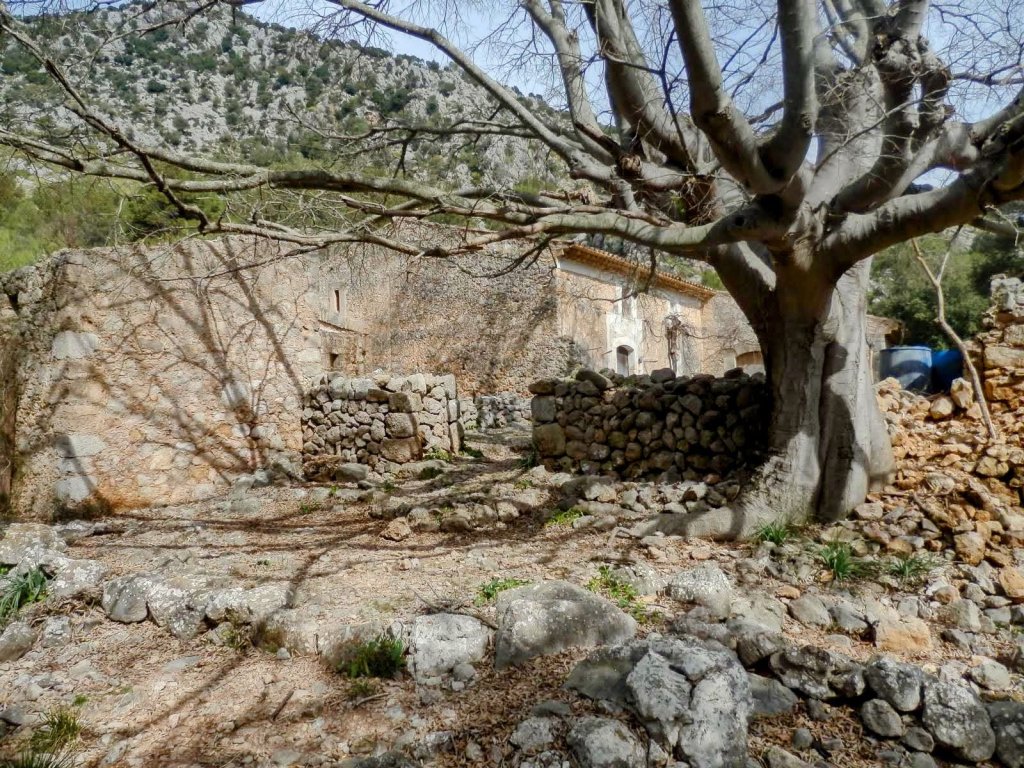 SES FIGUEROLES-ALCANELLA desde  el Coll de sa&nbsp;Batalla