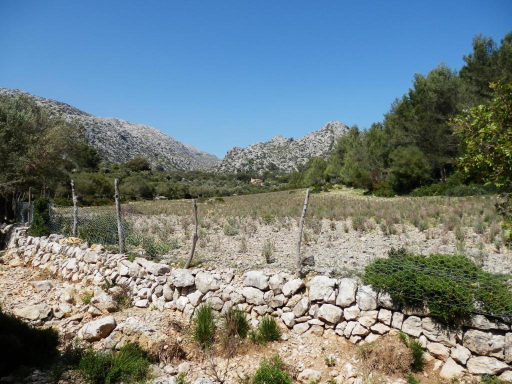 Vista del paisaje montañoso con un campo agrícola y una pared de piedra en primer plano, rodeado de vegetación y árboles bajos bajo un cielo azul despejado.