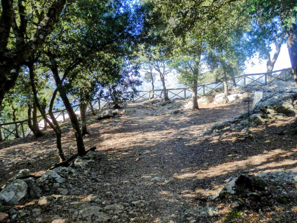Sendero entre árboles y piedras en el entorno natural, con el Mirador del Centenari del Fomento en el fondo.
